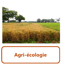 agri-écologie1